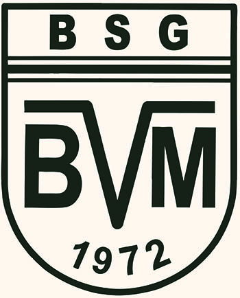 BSG Logo